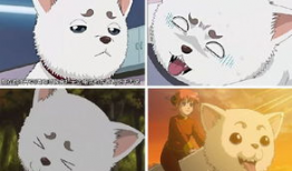 动漫里狗的名字,守护者之影