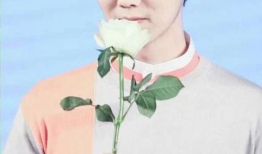 鹿晗主演的电视剧,青春热血的追梦之旅